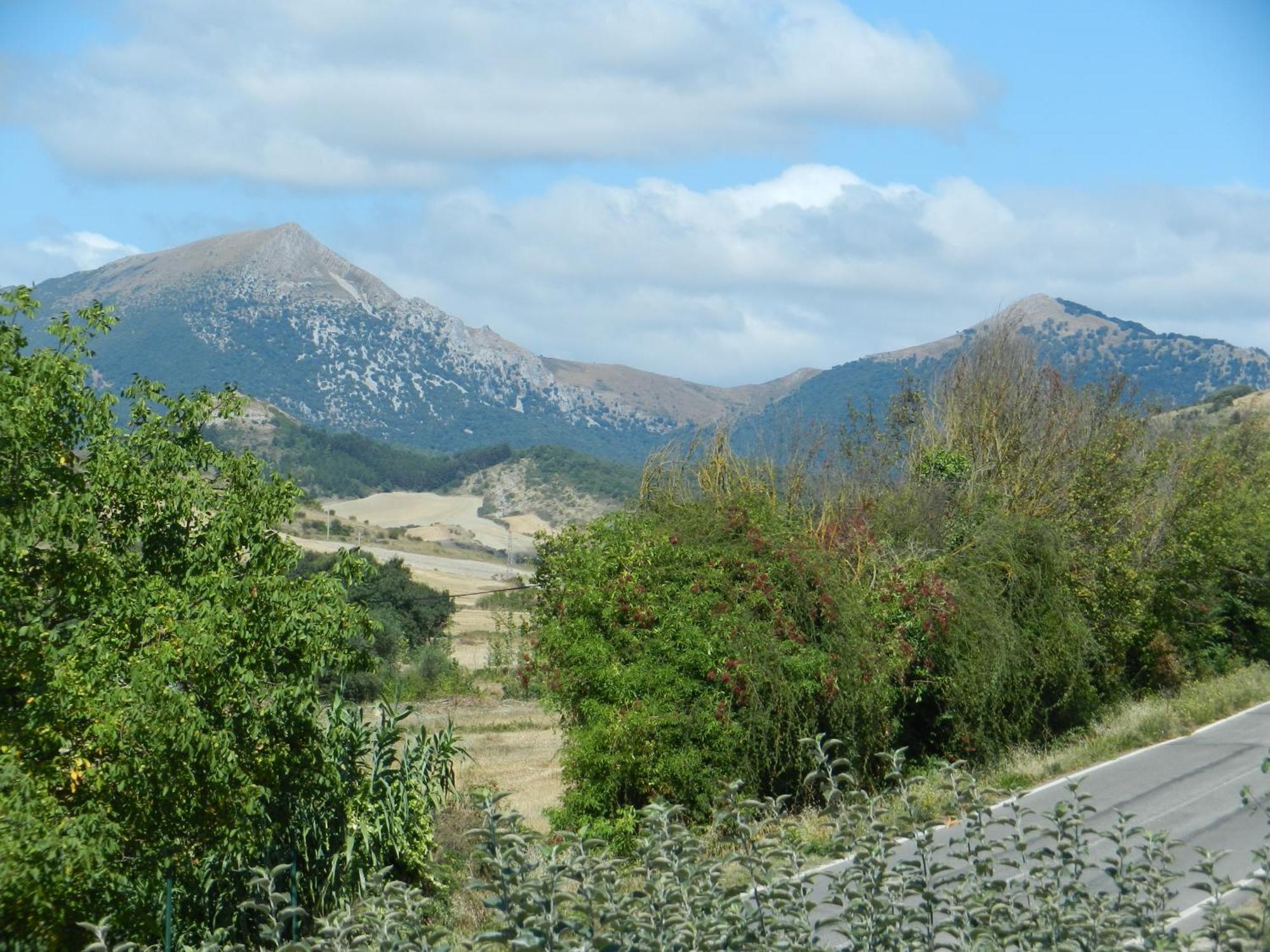 Casa De La Cadena ξενώνας Asiáin Δωμάτιο φωτογραφία